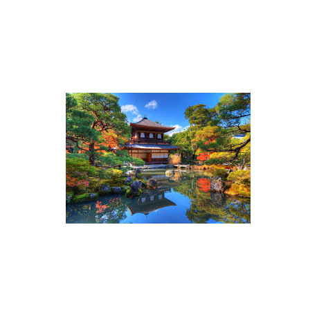 SENTIERI GIAPPONESI - Dal 19 al 29 Agosto 2026