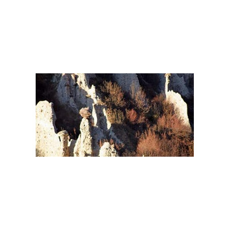 Le INCISIONI RUPESTRI della VALCAMONICA