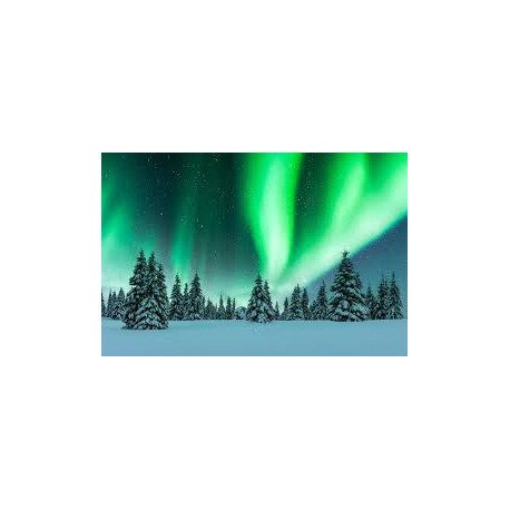 INCANTO ARTICO IN LAPPONIA FINLANDESE: Dall'11 al 15 Febbraio 2027